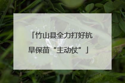 竹山县全力打好抗旱保苗“主动仗”