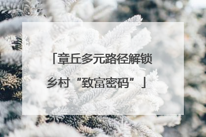 章丘多元路径解锁乡村“致富密码”