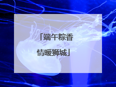 端午粽香 情暖狮城