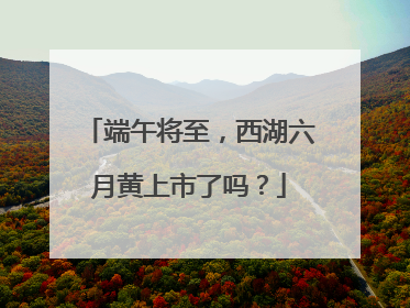 端午将至，西湖六月黄上市了吗？