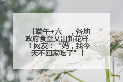 端午+六一，各地政府食堂又出新花样！网友：“妈，我今天不回家吃了”