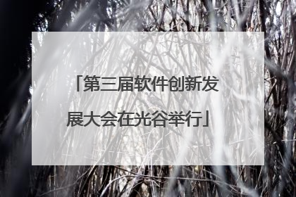第三届软件创新发展大会在光谷举行
