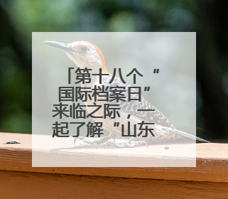 第十八个“国际档案日”来临之际，一起了解“山东档案”