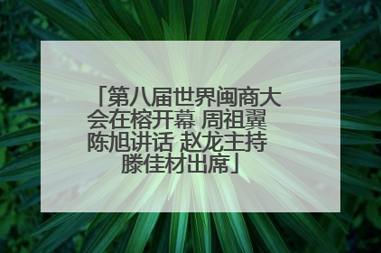 第八届世界闽商大会在榕开幕 周祖翼陈旭讲话 赵龙主持 滕佳材出席