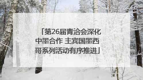 第26届青洽会深化中墨合作 主宾国墨西哥系列活动有序推进