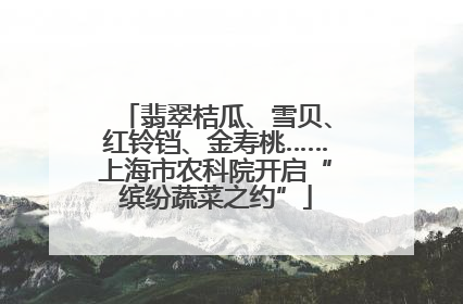 翡翠桔瓜、雪贝、红铃铛、金寿桃……上海市农科院开启“缤纷蔬菜之约”