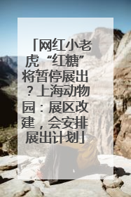 网红小老虎“红糖”将暂停展出？上海动物园：展区改建，会安排展出计划