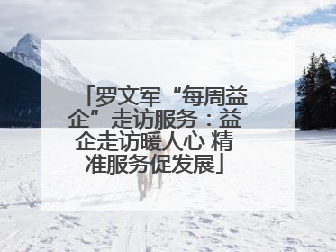 罗文军“每周益企”走访服务：益企走访暖人心 精准服务促发展