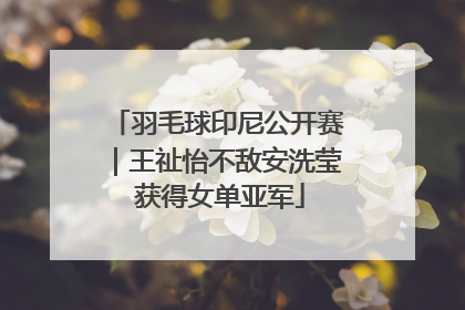 羽毛球印尼公开赛｜王祉怡不敌安洗莹 获得女单亚军