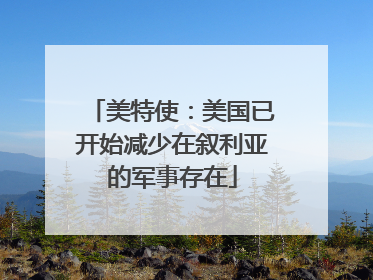 美特使：美国已开始减少在叙利亚的军事存在