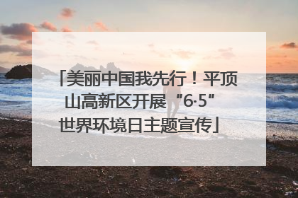 美丽中国我先行！平顶山高新区开展“6·5”世界环境日主题宣传