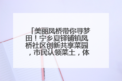 美丽凤桥带你寻梦田！宁乡夏铎铺镇凤桥社区创新共享菜园，市民认领菜土，体验耕种收获乐趣