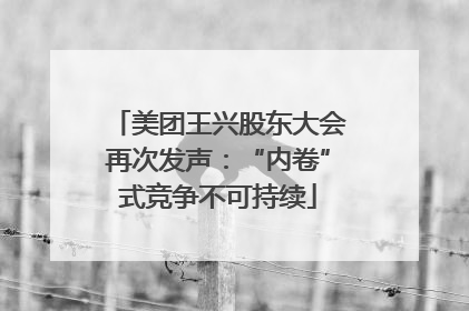美团王兴股东大会再次发声：“内卷”式竞争不可持续