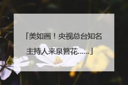 美如画！央视总台知名主持人来泉簪花……