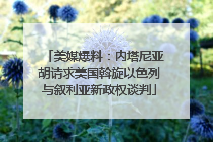 美媒爆料：内塔尼亚胡请求美国斡旋以色列与叙利亚新政权谈判