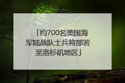 约700名美国海军陆战队士兵将部署至洛杉矶地区