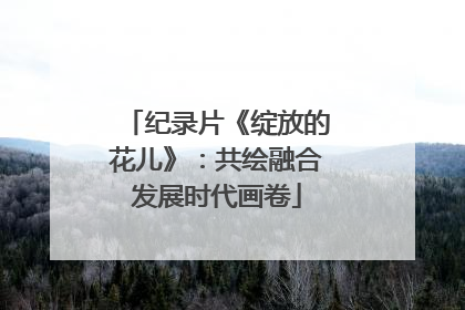 纪录片《绽放的花儿》：共绘融合发展时代画卷