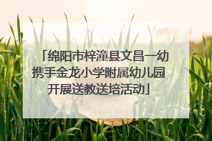 绵阳市梓潼县文昌一幼携手金龙小学附属幼儿园开展送教送培活动