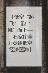 低空“起飞” 迎“风”而上——石家庄全力竞逐低空经济蓝海