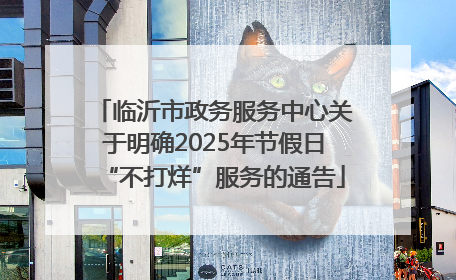 临沂市政务服务中心关于明确2025年节假日“不打烊”服务的通告