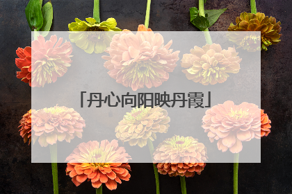 丹心向阳映丹霞