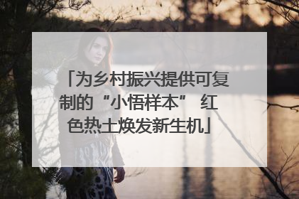 为乡村振兴提供可复制的“小悟样本” 红色热土焕发新生机