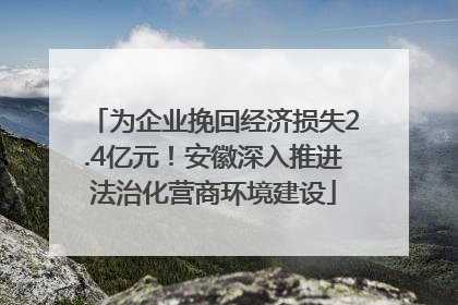 为企业挽回经济损失2.4亿元！安徽深入推进法治化营商环境建设
