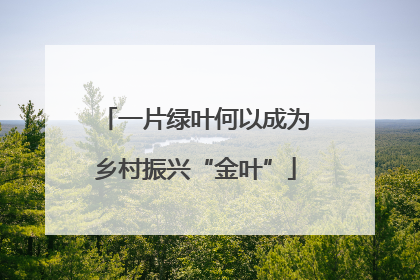 一片绿叶何以成为乡村振兴“金叶”