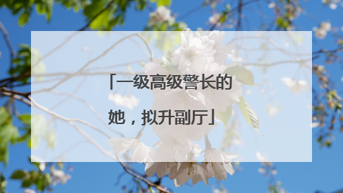 一级高级警长的她，拟升副厅