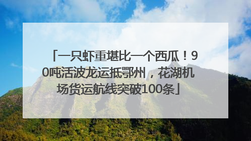 一只虾重堪比一个西瓜！90吨活波龙运抵鄂州，花湖机场货运航线突破100条
