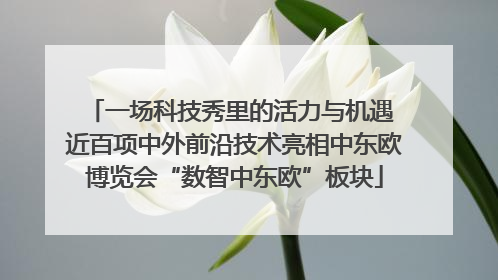 一场科技秀里的活力与机遇 近百项中外前沿技术亮相中东欧博览会“数智中东欧”板块