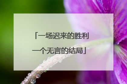 一场迟来的胜利 一个无言的结局