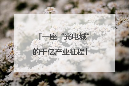 一座“光电城”的千亿产业征程