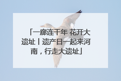 一廊连千年 花开大遗址丨遗产日一起来河南，行走大遗址