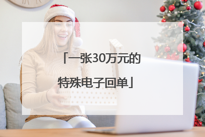 一张30万元的特殊电子回单