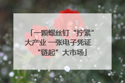 一颗螺丝钉“拧紧”大产业 一张电子凭证“链起”大市场