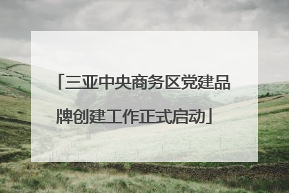 三亚中央商务区党建品牌创建工作正式启动