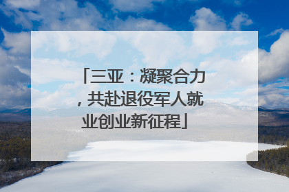 三亚：凝聚合力，共赴退役军人就业创业新征程
