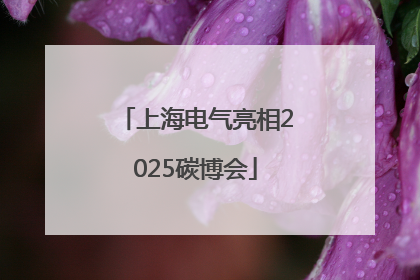 上海电气亮相2025碳博会