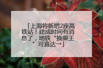 上海将新增2座高铁站！建成时间有消息了，地铁“换乘王”可直达→