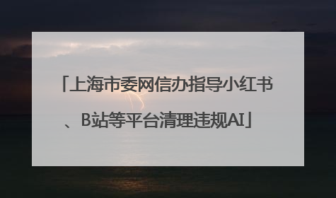 上海市委网信办指导小红书、B站等平台清理违规AI