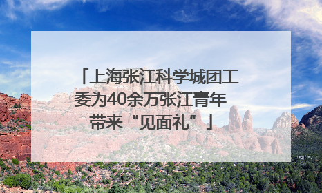 上海张江科学城团工委为40余万张江青年带来“见面礼”