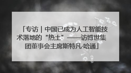专访｜中国已成为人工智能技术落地的“热土”——访博世集团董事会主席斯特凡·哈通