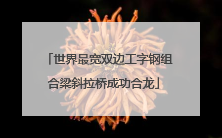世界最宽双边工字钢组合梁斜拉桥成功合龙