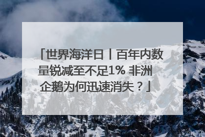 世界海洋日丨百年内数量锐减至不足1% 非洲企鹅为何迅速消失？