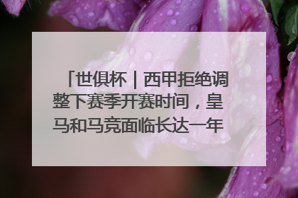 世俱杯｜西甲拒绝调整下赛季开赛时间，皇马和马竞面临长达一年的“魔鬼赛程”