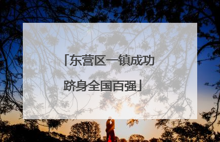 东营区一镇成功跻身全国百强