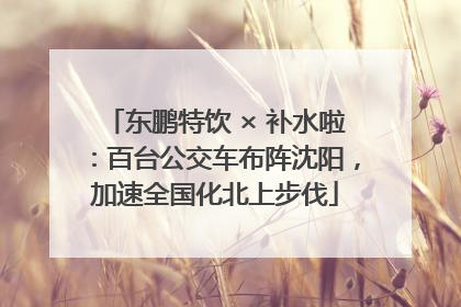 东鹏特饮 × 补水啦：百台公交车布阵沈阳，加速全国化北上步伐