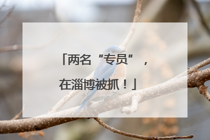 两名“专员”，在淄博被抓！