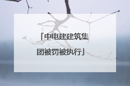 中电建建筑集团被罚被执行